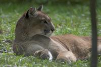 Cjp_2011_08_02_135359 (1).jpg